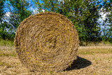 Fototapeta Zwierzęta - ein Strohballen vor Bäumen auf einem Feld