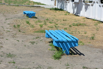 on a background of nature there are two benches made of wood painted with white paint with plants and a white fence in the sun