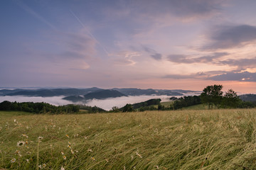 Wall Mural - Sonnenaufgang im Schwarzwald 