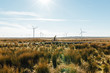 © maresa/Stocksy - A woman riding a mountain bike in over a wooden track surrounded by wild grass at a wind farm in Scotland