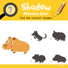 Shadow Matching Game Of Capybara Animals For Preschool Kids Activity Worksheet Colorful Version. Vector Illustration.