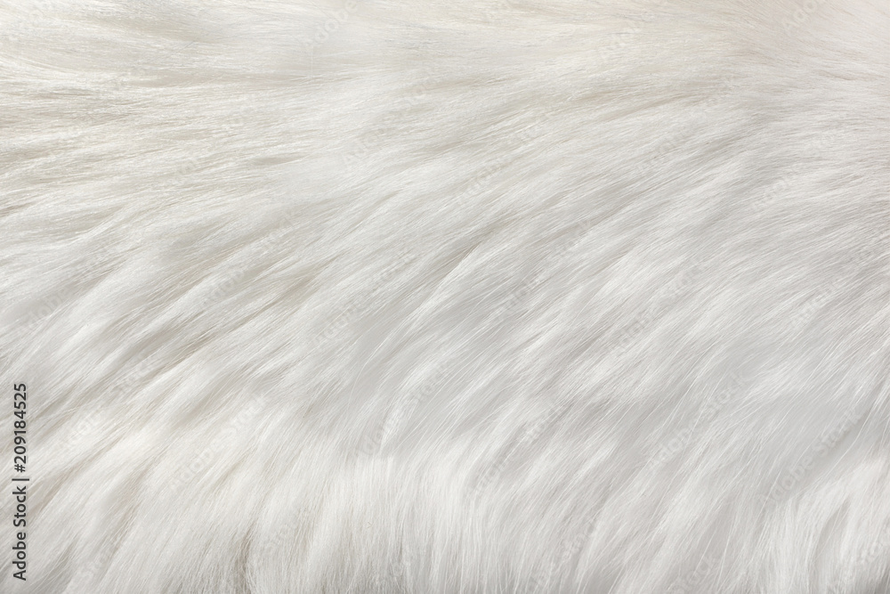 white natural fur background - obrazy, fototapety, plakaty 