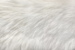 white natural fur background