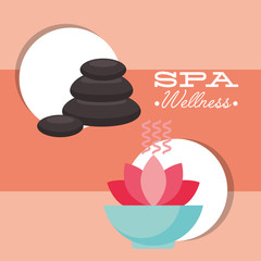 Wall Mural - stone massage aromatherapy treatment therapy care skin spa wellness vector illustration