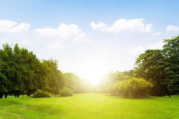 Scenic view of the park with green grass field in city and a cloudy blue sky background