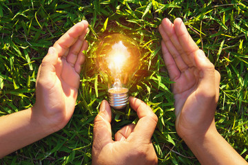 hand holding protection lightbulb on grass. concept saving energy