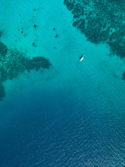 Wall Mural - Top down aerial drown view of a small boat over a tropical coral reef in a clear ocean