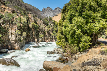 Wall Mural - Scenic river Sequoia National park