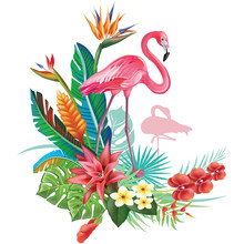 Tropical Decoration With Flamingoes And Trop