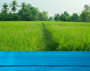 Empty Wooden board on blur Rice field Organic farming of nature.