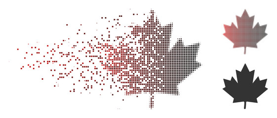Fototapete - vector maple leaf icon in dispersed, dotted halftone and undamaged solid versions. disintegration ef