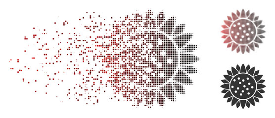 Fototapete - vector sunflower flower icon in dissolved, pixelated halftone and undamaged solid variants. disinteg