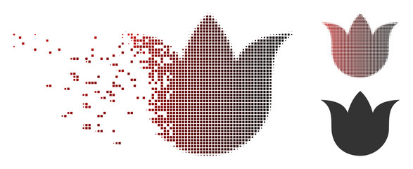 Fototapete - vector tulip flower icon in fractured, dotted halftone and undamaged solid variants. disappearing ef