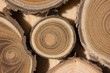 Sandalwood core macro
