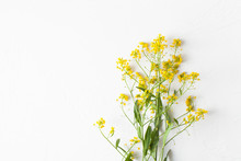 Twigs Of Winter Cress With Flowers On White Concrete Background
