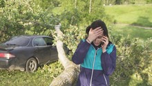 The Tree After The Hurricane Fell On The Car, The Girl Calls The Rescuers