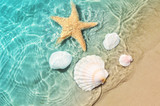 Fototapeta Do akwarium - starfish and seashell on the summer beach in sea water.