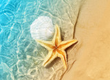 Fototapeta Do akwarium - starfish and seashell on the summer beach in sea water.