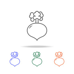 Poster - outline radish icon. elements of fruits and vegetables in multi colored icons. premium quality graph