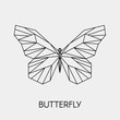 Abstract polygonal butterfly. Geometric linear animal. Vector illustration.