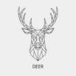 Abstract polygonal the head of a deer. Geometric linear animal. Vector.
