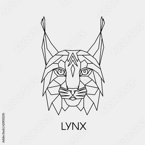 Fotografía Abstract polygonal head of the lynx