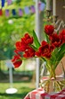 Bouquet of beautiful red tulips in a glass vase with outdoor and American flags background. Selective focus.