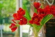 Bouquet of beautiful red tulips in a glass vase with outdoor background. Selective focus. Close up.