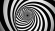 Optical black and white spinning illusion