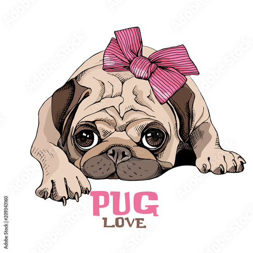Fotografía Pug Puppy with a pink bow. Vector illustration.