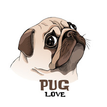 Portrait Of A Pug Puppy In Profile. Vector Illustration.