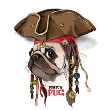 Portrait Of A Pug In Pirate Hat, Bandana And With A Dreadlocks. Vector Illustration.