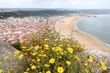 Nazare beach, Portugal