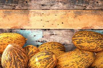 Wall Mural - Background, melons close-up. Place for the inscription, copy space