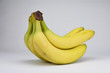 © manonteravest - Bunch of bananas in studio on white background