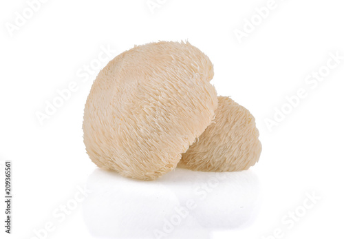 Fotografía Lion mane mushroom isolated on white background.