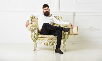 Leinwandbilder - Knowledge concept. Macho smart spends leisure with book. Man with beard and mustache sits on armchair and holds book, white wall background. Scientist, professor on serious face explores literature.