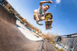 Skateboarder make trick boneless, high jump in mini ramp in skatepark