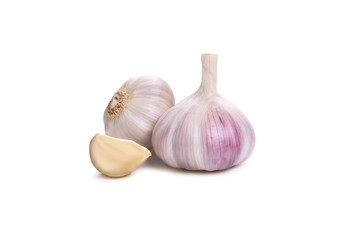 Garlic Isolated against a white background.