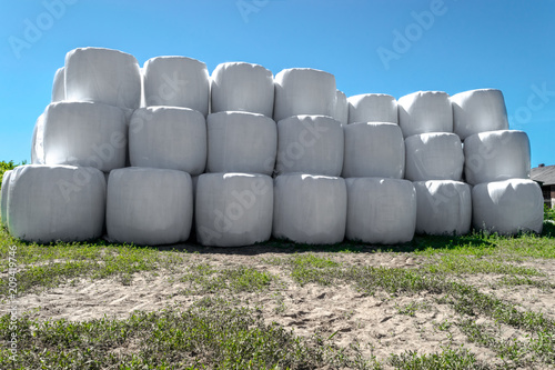 Fotografía Large Silage Bales Wrapped in White Plastic and Placed One on Each Other