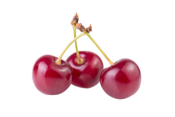 Wall Mural - Three cherry ripe red berries isolated on white background