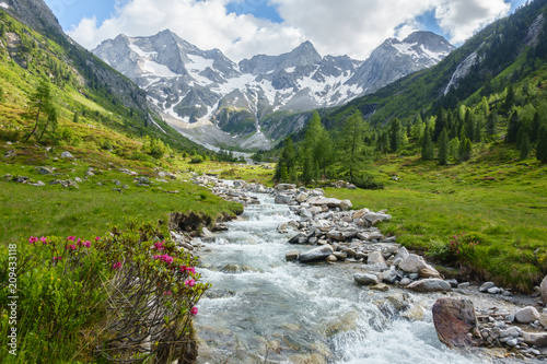 Cuadros en Lienzo Wildbach vom Gletscher in den österreichischen Bergen