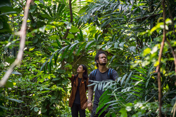 travelers walking through jungle. two man hiking in forest dense. concept of Travel relax, Holiday and vacation.