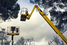 Yellow Platform Lift To Prune Trees