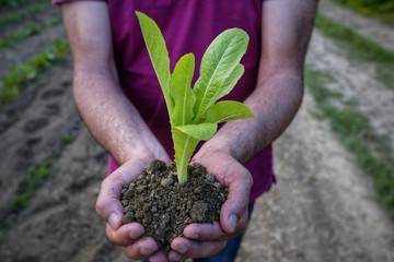 seedling with earth in hand