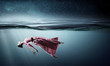 © Sergey Nivens - Woman dancer in clear blue water