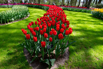 Poster - Keukenhof 