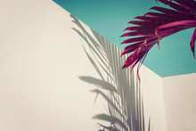 Purple Palm Leaves Against Turquoise Sky And White Wall