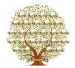 Family Tree template vintage vector illustration