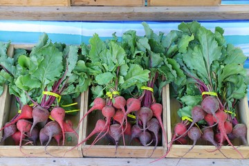 Wall Mural - Fresh Farmers Market produce